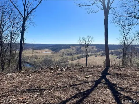 Dixon, MO Land with River