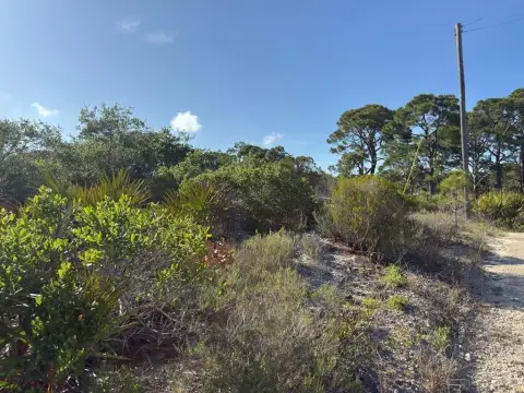Cape San Blas Land Parcel
