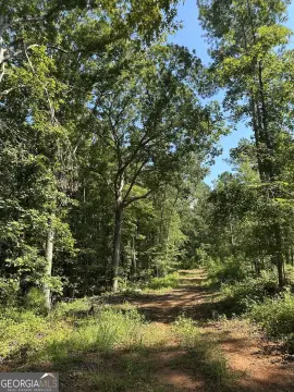 155+ Acres in Madison, GA