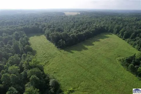 Whitetail Hunting Land with Stands