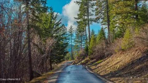 Wooded Lot with Lake Views