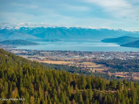 Wooded Lot with Lake Views