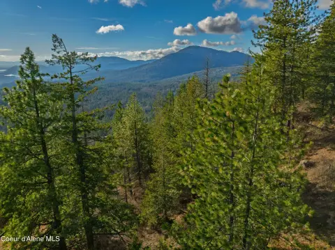 Wooded Lot with Lake Views