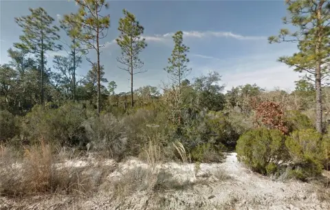 Residential Lot in Bronson, FL