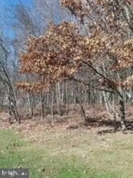 Residential Lot in Longview Terrace