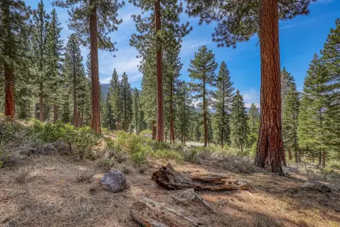 Residential Lot in Truckee, CA