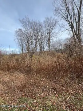 Duanesburg Vacant Land For Sale