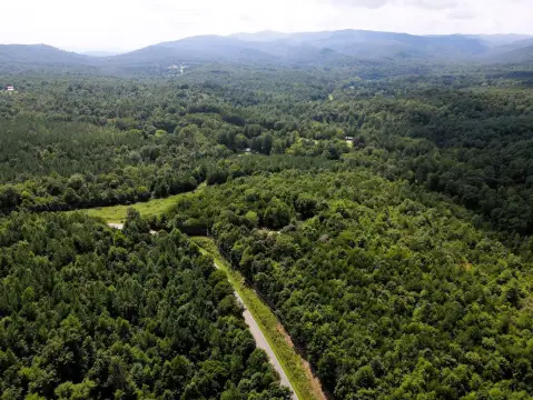 Timber and Waterfront Recreational Land