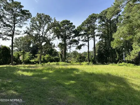 Cleared Land Near Cherry Point