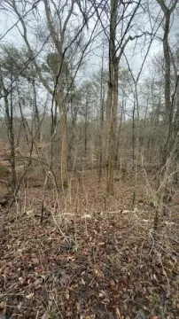 Cumberland River Overlook Land