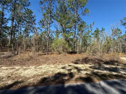 Land in Dunnellon, Florida