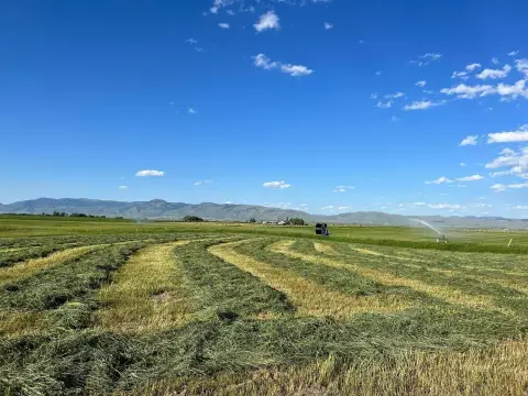 Acreage in Prime Location