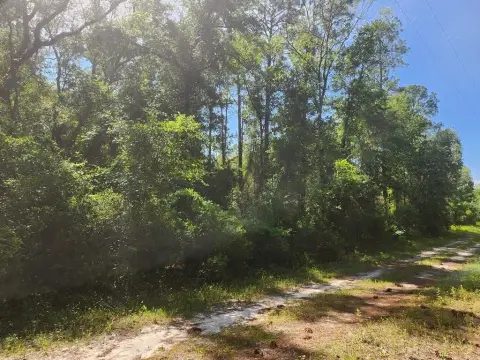 Land Near Withlacoochee River
