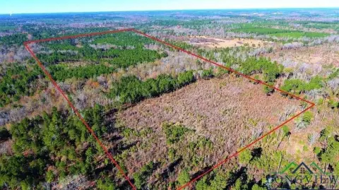East Texas Hunting & Timberland