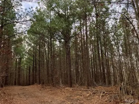 Ozark Hideaway Land For Sale