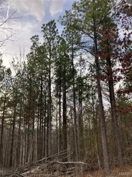 Ozark Hideaway Land For Sale