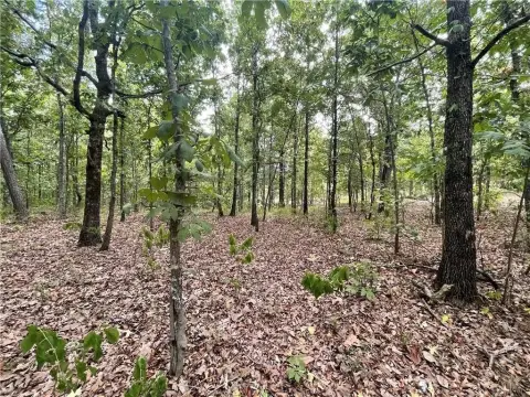 Wooded Residential Land Lot