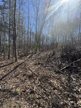 Affordable One Acre Cul-de-Sac Lot