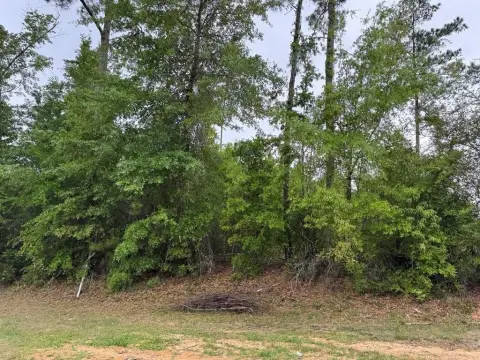 Waterfront Land with Platted Lots