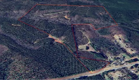 136 Acres Wooded Land, Abbeville