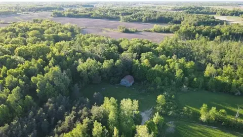 Northern Michigan Hunting Land