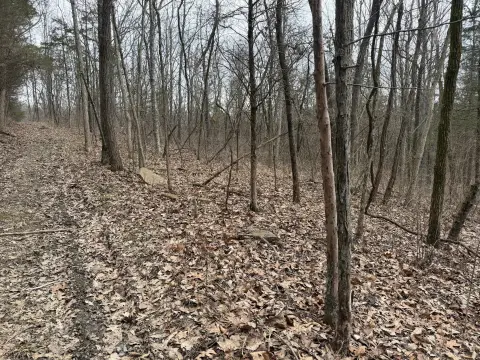 5 Acres of Hunting Land