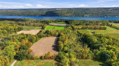 Farmland with Stone Residence