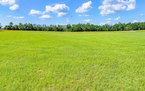 5 Acres Residential Homesite Ready