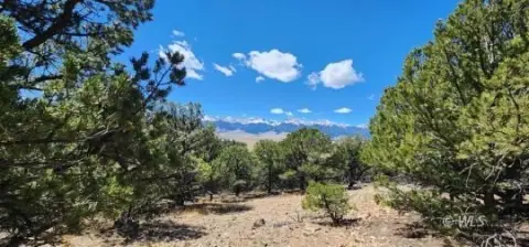 Land with Mountain Views