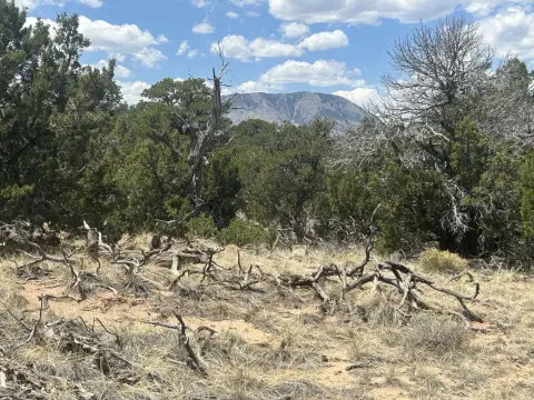 Mountain Land with Seasonal Pond