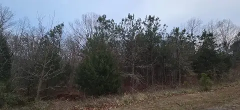 Residential Lot in Greenwood, SC