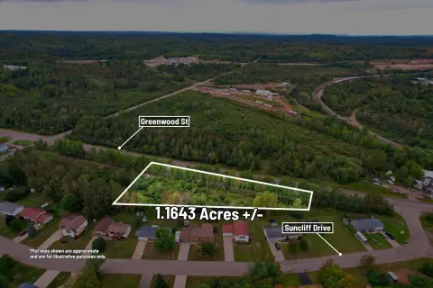 Wooded Commercial Land