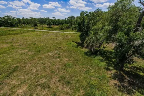 Cleared Lot in Desirable Tampa