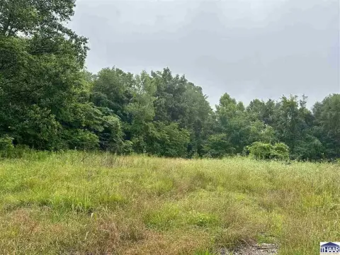 Wooded Residential Development Land