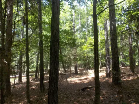 Waterfront Land in Tignall, GA