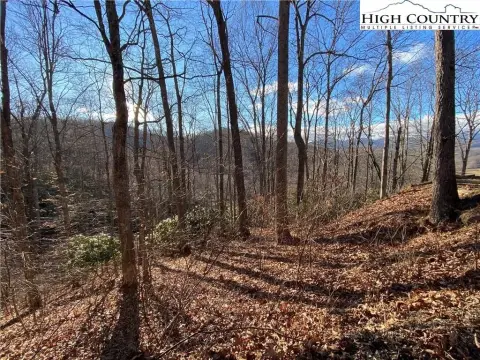 Wooded Lot Near Downtown Boone