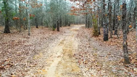 Recreational Land in Detroit, Texas