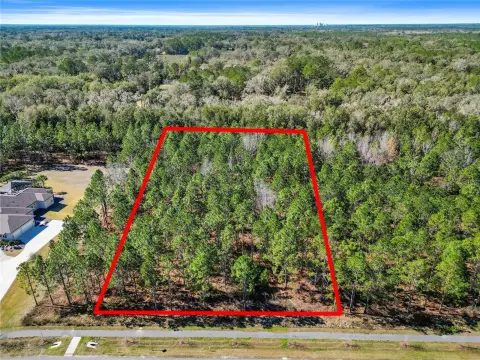 Newberry Land Homesite Opportunity
