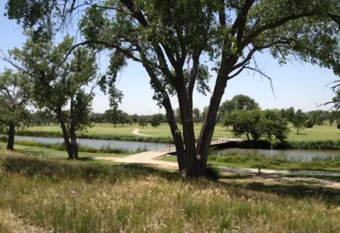 Canyon, TX Commercial Development Tract