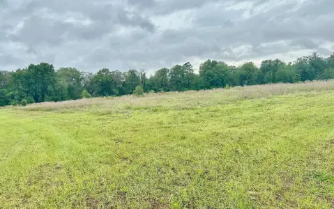 Rural Pasture & Wooded Land