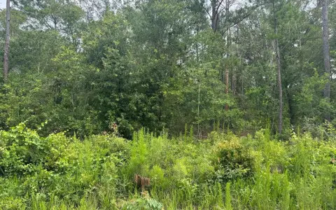 Five-Acre Rural Residential Land