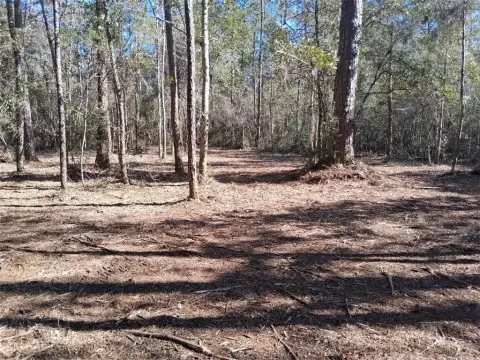 Residential Lot in Theodore, AL