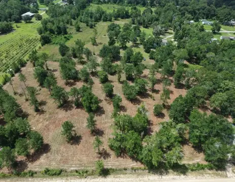 Waterfront Land Parcel