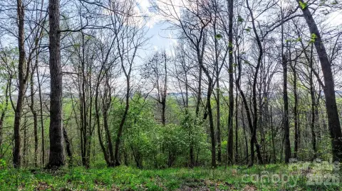 26 Acres in Wilkes County