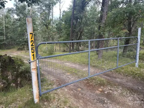 Wooded Land with Gated Driveway
