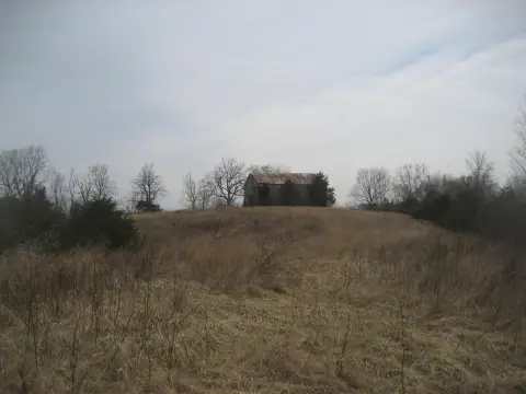 53 Acres in Anderson County