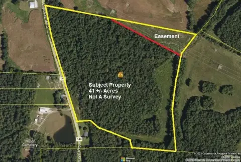 40 Acres of Wooded Land