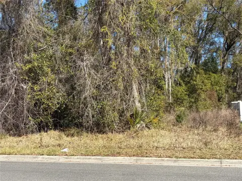 Residential Lot in Gainesville