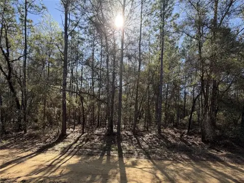 Buildable Lot Near Two Lakes