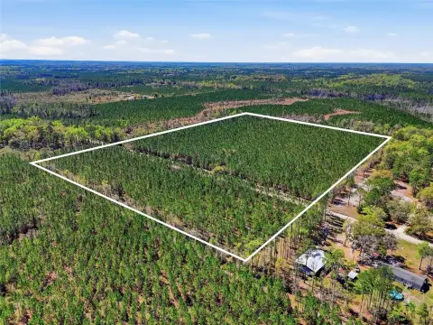 30 Acres Timberland Near City